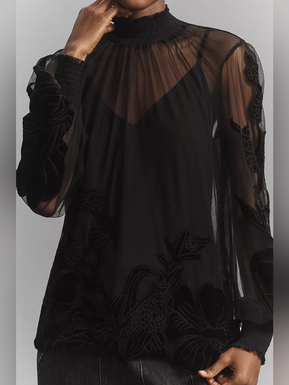 Anthropologie Long-Sleeve Sheer Velvet Appliqué Blouse